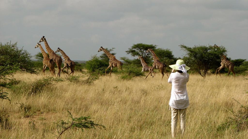 ホテル Maasai Simba Camp アンボセリ エクステリア 写真