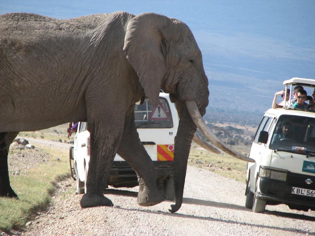 ホテル Maasai Simba Camp アンボセリ エクステリア 写真